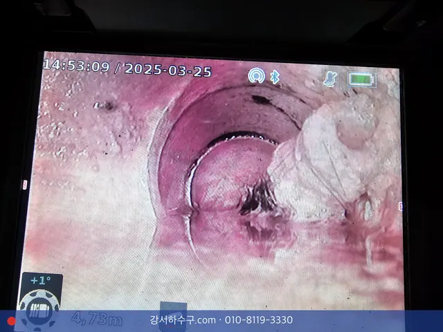 같은 지점을 가까이 본 화면, 관 벽에 걸린 이물